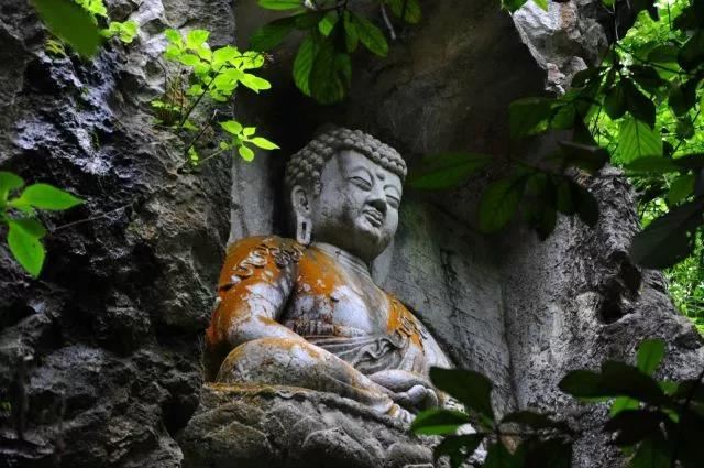 二零零一年出生的是什么命