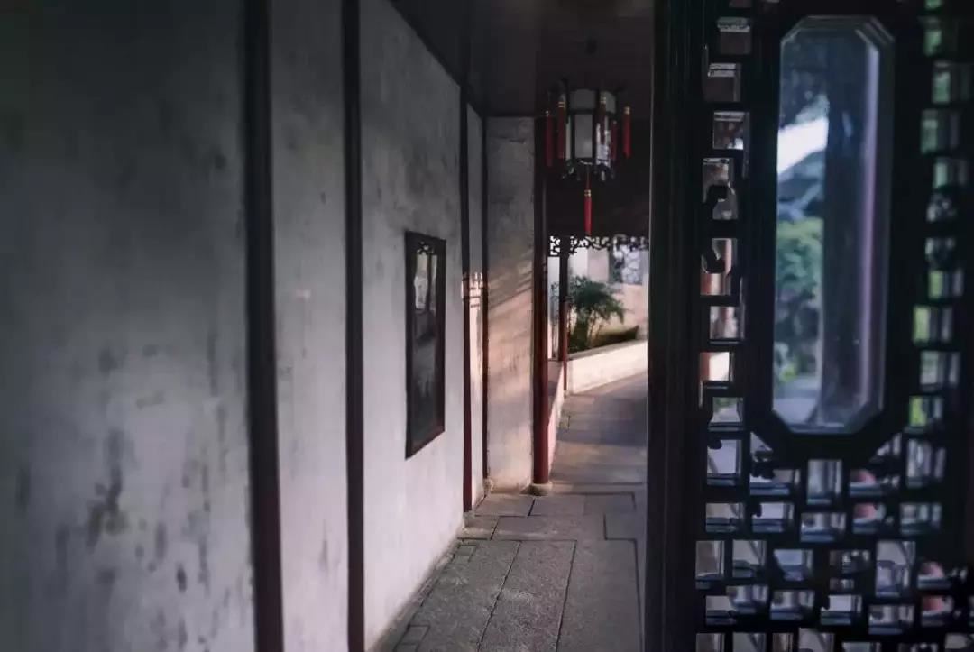 属蛇的人不利于养猫吗？