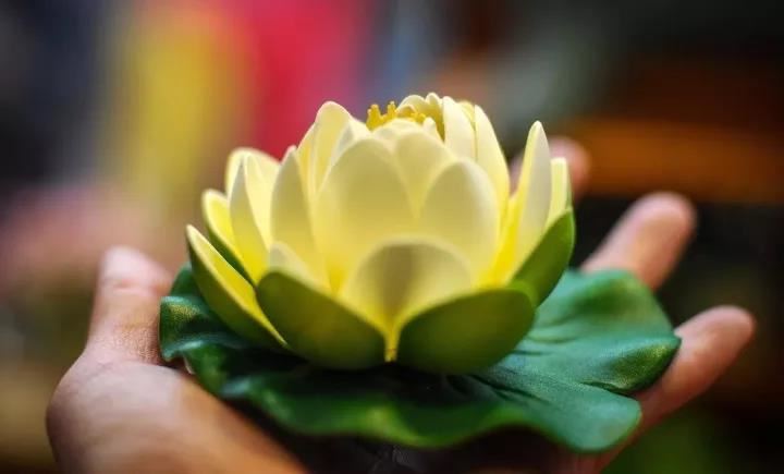 梦到自己下面流血了是什么预兆?女人梦见自己下面流血是什么预兆?