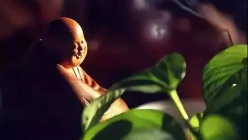 越长越帅的的星座男，长相最好看的星座男！
