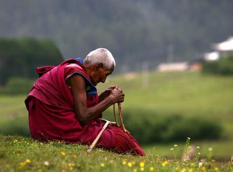 白龙王预言1983属猪人的一生