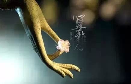 月亮星座美貌排行，你上榜了吗？