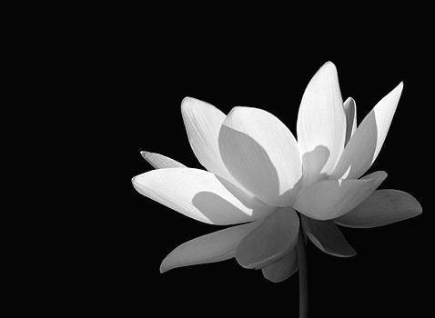 什么人不能念地藏经?念地藏经会怎样