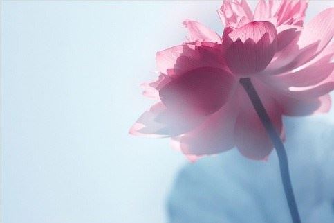 女人什么样面相招财